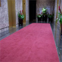 Discount Deluxe Carpet Entrance Mats
